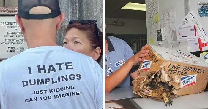50 Random Pictures You Didn’t Know You Might Find Funny, As Shared On This IG Account