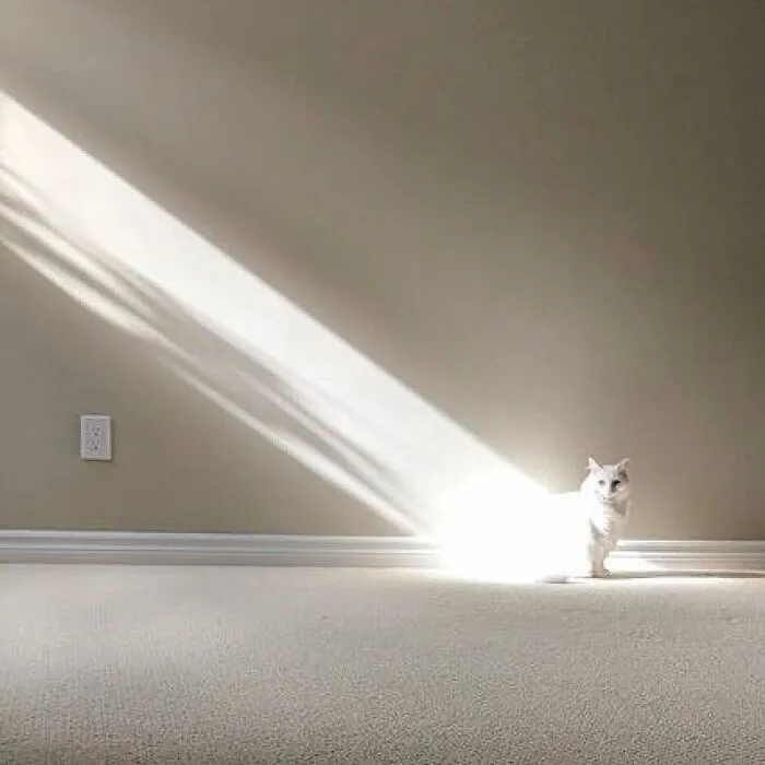 Just Teleported