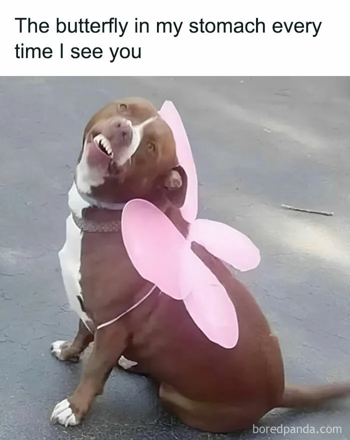 This Instagram Account Sums Up What Women Struggle With In 50 Painfully Relatable Memes