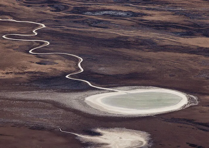 Sperm Formation By Don Jacobson