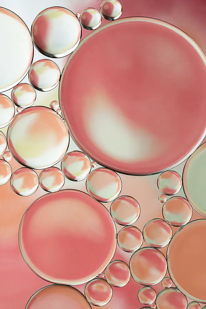 Blossoms 1 From The Series Studies In Oil And Water By Lisa Thomas