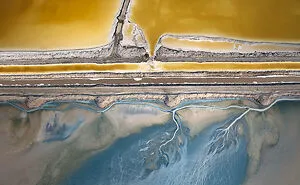 Chromatic Chronicles: 25 Winning Photos From The 35th AAP Magazine Photography Awards