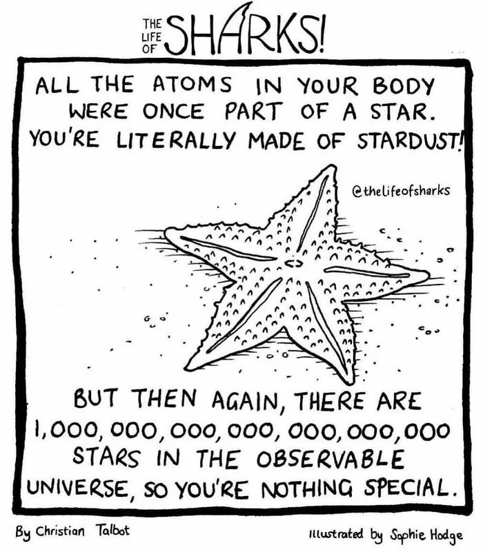 40 New Comics That Depict The Snarky Conversations Between Sharks And Other Aquatic Life
