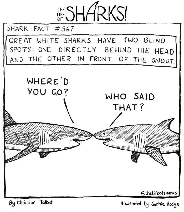 40 New Comics That Depict The Snarky Conversations Between Sharks And Other Aquatic Life
