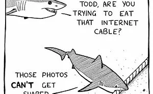 40 New Comics That Depict The Snarky Conversations Between Sharks And Other Aquatic Life