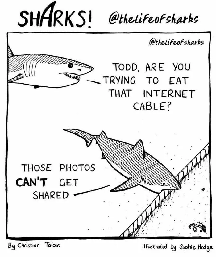 40 New Comics That Depict The Snarky Conversations Between Sharks And Other Aquatic Life