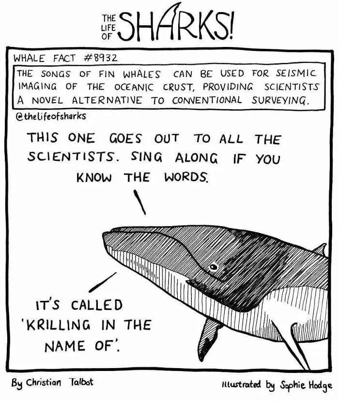 40 New Comics That Depict The Snarky Conversations Between Sharks And Other Aquatic Life