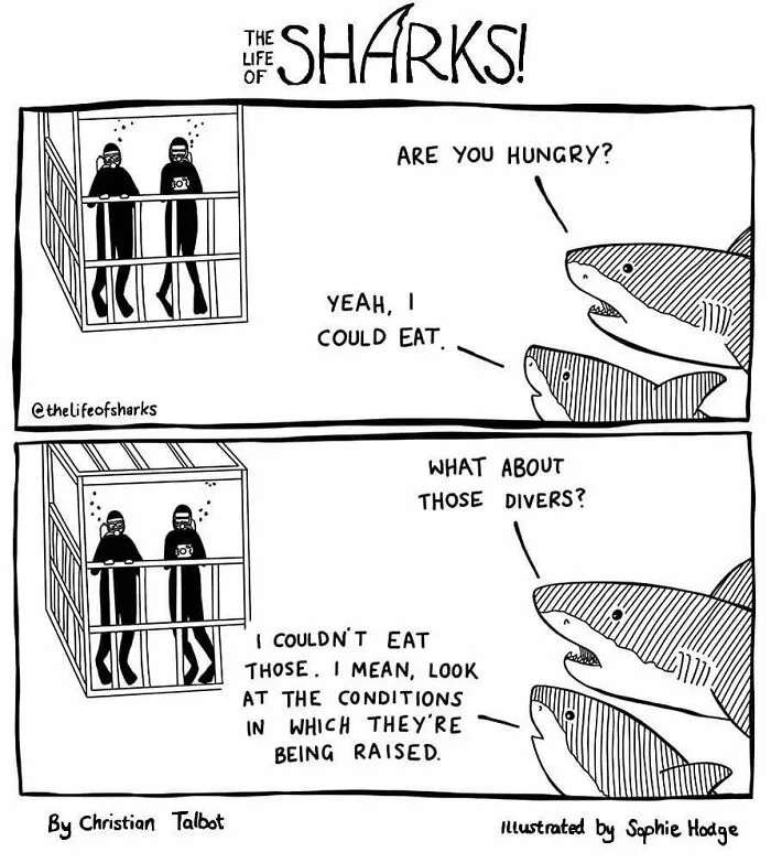 40 New Comics That Depict The Snarky Conversations Between Sharks And Other Aquatic Life