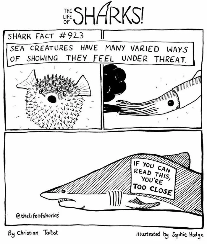 40 New Comics That Depict The Snarky Conversations Between Sharks And Other Aquatic Life