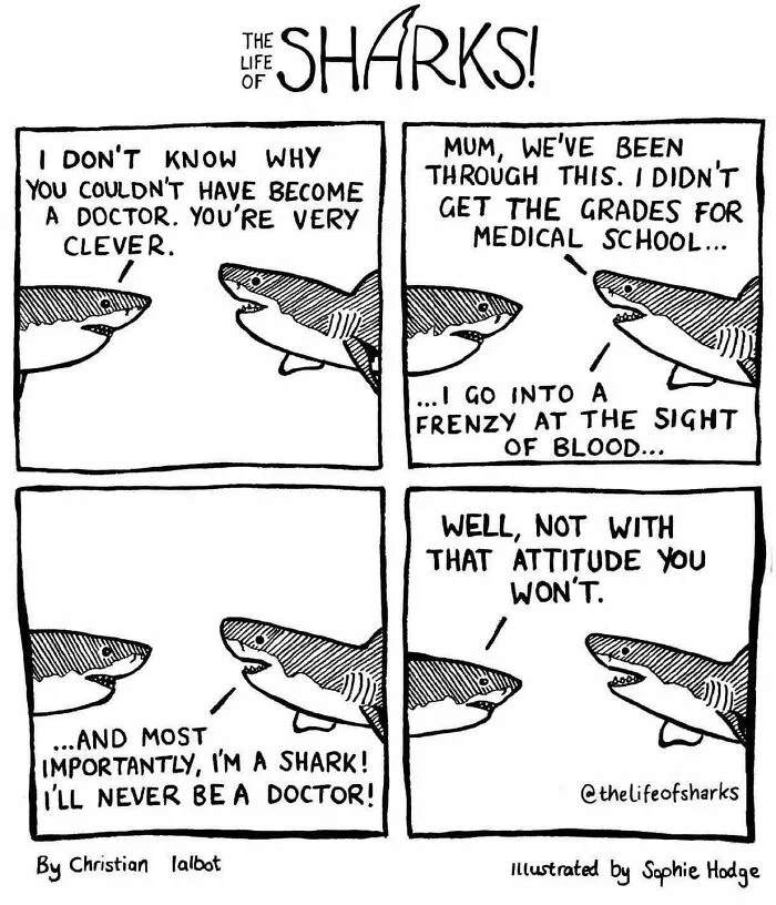 40 New Comics That Depict The Snarky Conversations Between Sharks And Other Aquatic Life