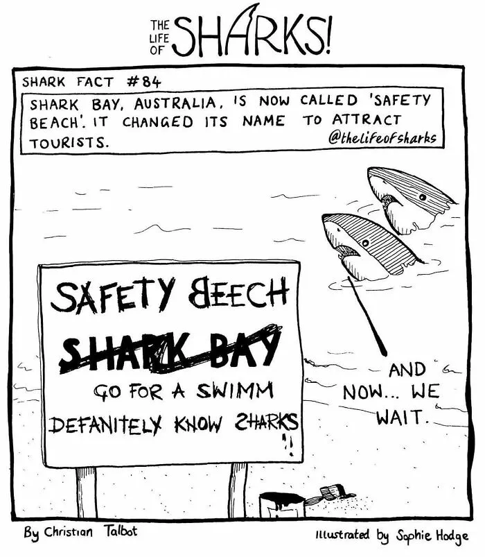 40 New Comics That Depict The Snarky Conversations Between Sharks And Other Aquatic Life