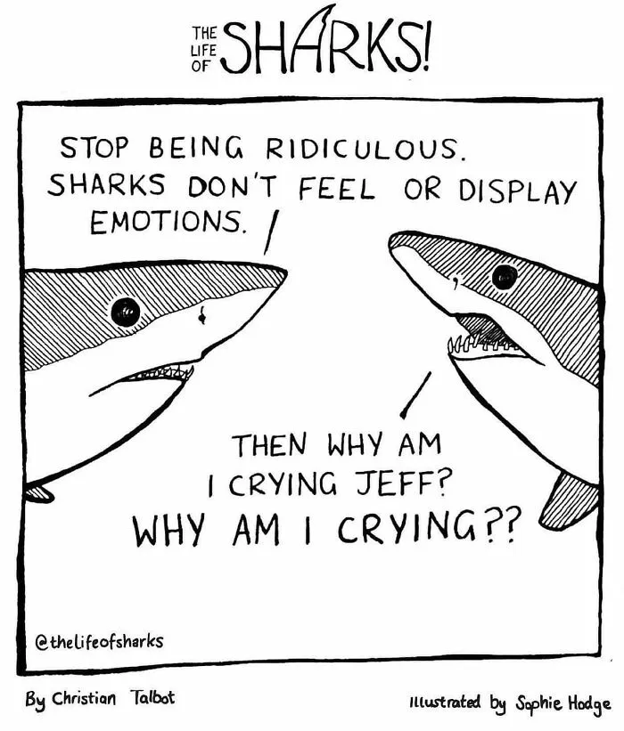40 New Comics That Depict The Snarky Conversations Between Sharks And Other Aquatic Life