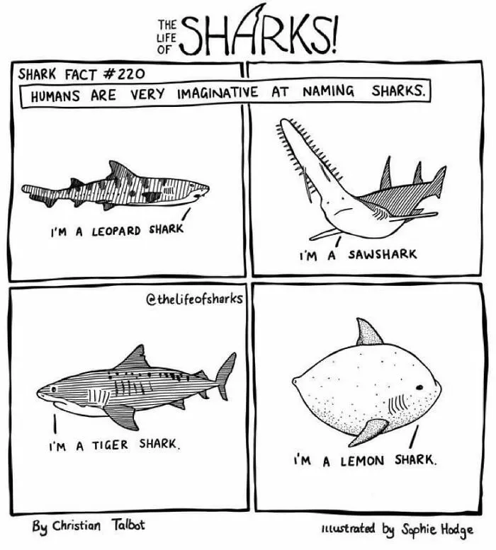40 New Comics That Depict The Snarky Conversations Between Sharks And Other Aquatic Life