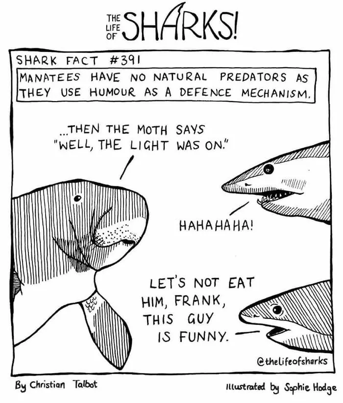 Artist  Shows The Adventures Of Sharks And Their Interactions With Other Sea Creatures (New Pics)