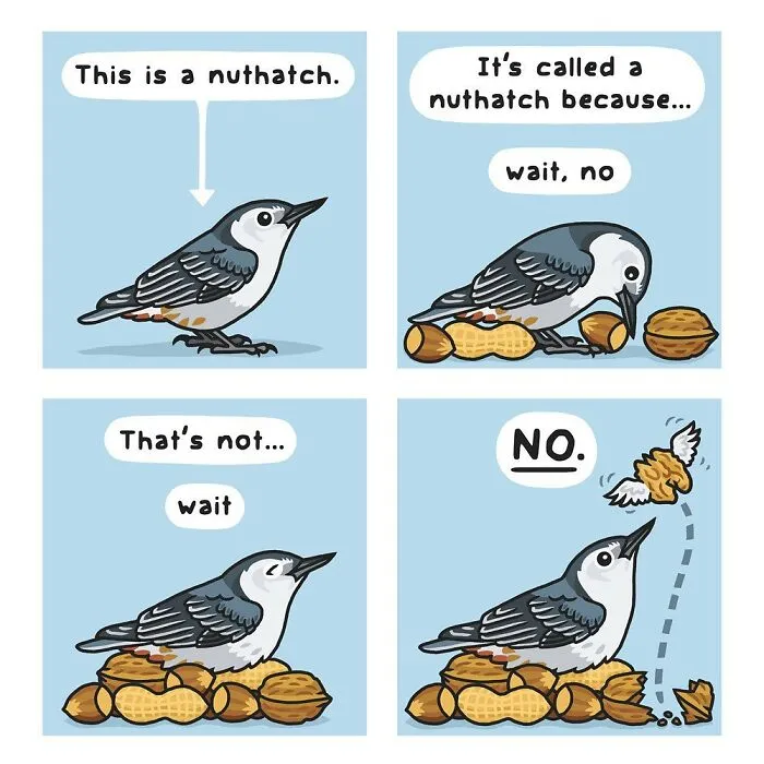 This Artist Brings Laughter To Bird And Nature Lovers With Humorous Comics (30 Pics)