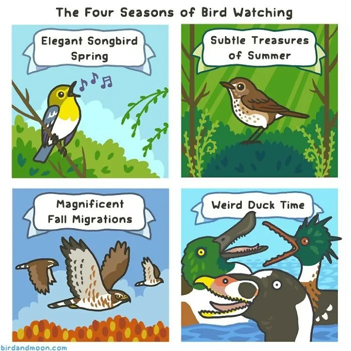 This Artist Brings Laughter To Bird And Nature Lovers With Humorous Comics (30 Pics)