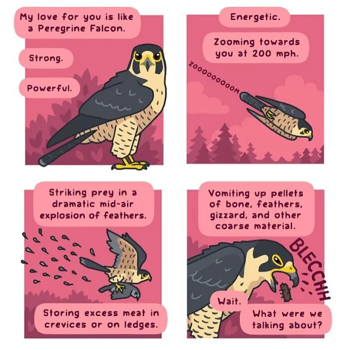 This Artist Brings Laughter To Bird And Nature Lovers With Humorous Comics (30 Pics)