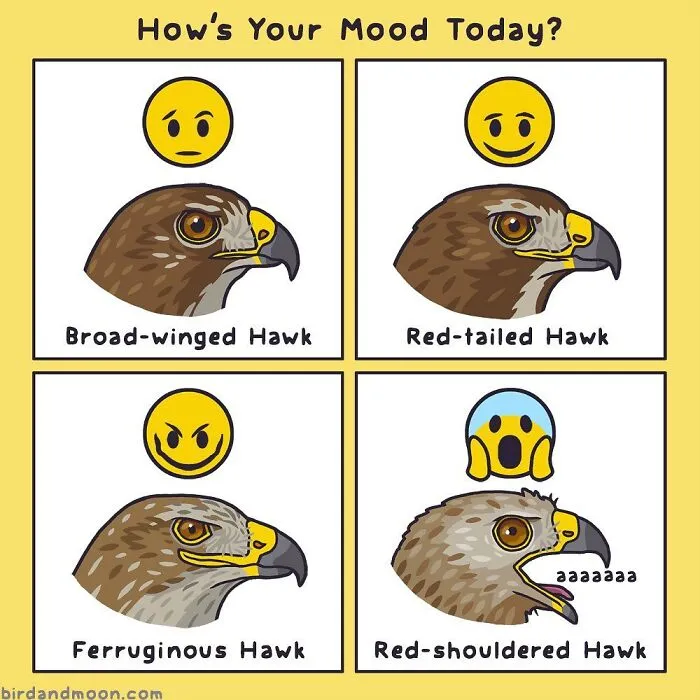 This Artist Brings Laughter To Bird And Nature Lovers With Humorous Comics (30 Pics)