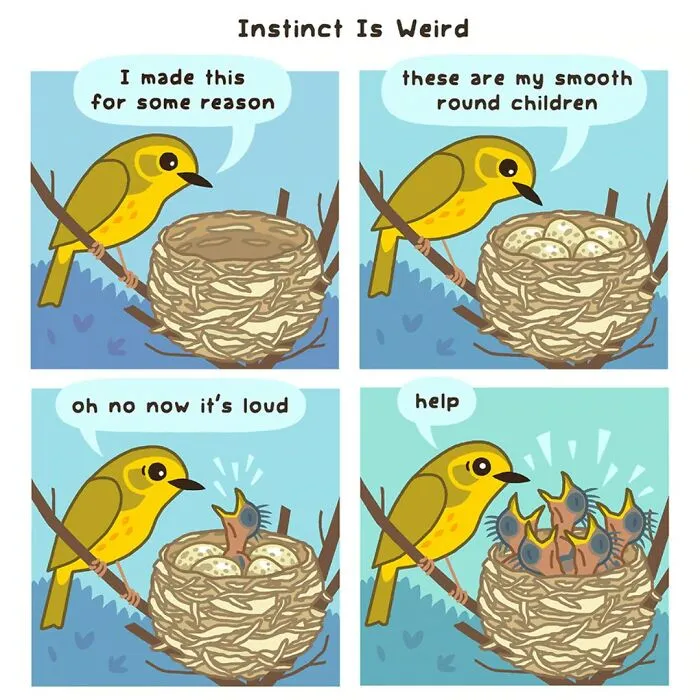 This Artist Brings Laughter To Bird And Nature Lovers With Humorous Comics (30 Pics)