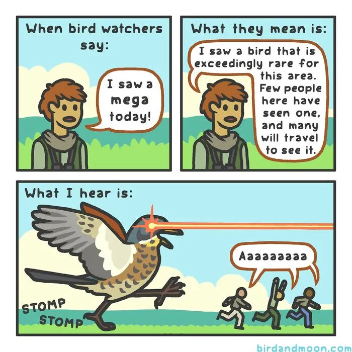This Artist Brings Laughter To Bird And Nature Lovers With Humorous Comics (30 Pics)