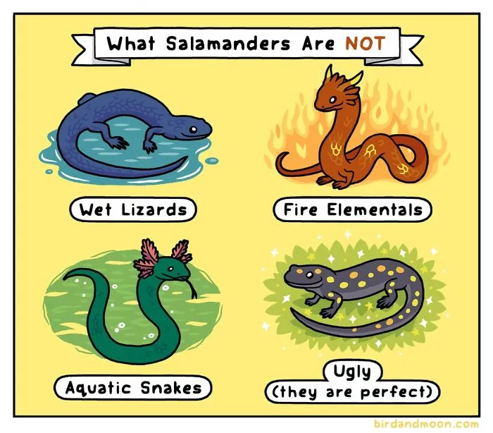 This Artist Brings Laughter To Bird And Nature Lovers With Humorous Comics (30 Pics)