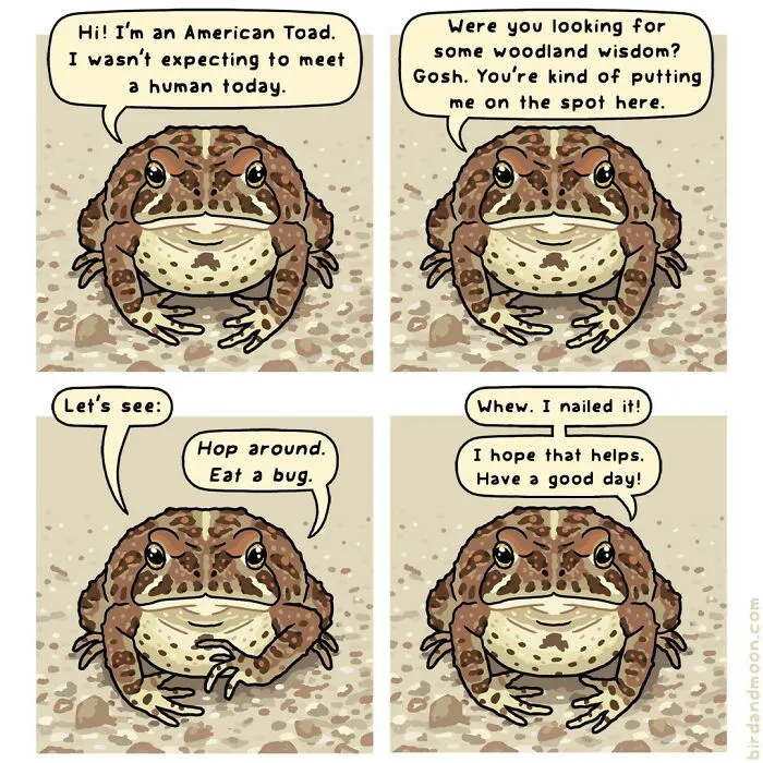 This Artist Brings Laughter To Bird And Nature Lovers With Humorous Comics (30 Pics)