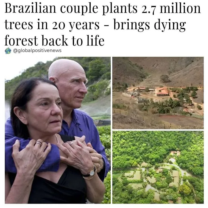 "Global Positive News": 40 Posts To Remind Us There's Good In The World