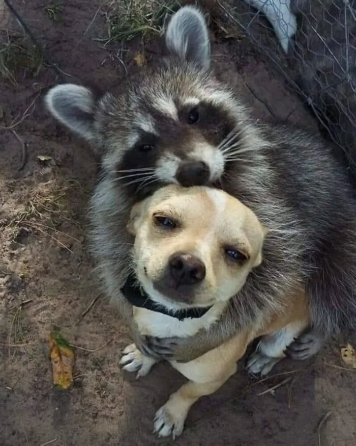50 Random Pictures You Didn’t Know You Might Find Funny, As Shared On This IG Account
