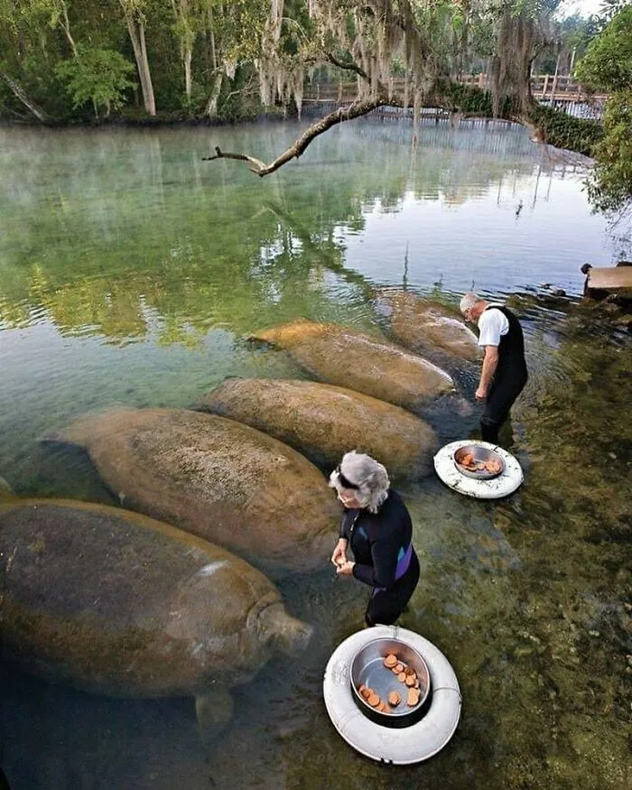 Weird-Bizarre-Pics