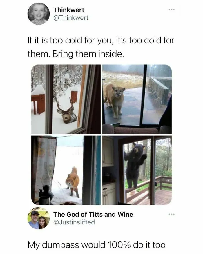 50 Chucklesome Memes That Make The Perfect Blend Of Animals And Comedy