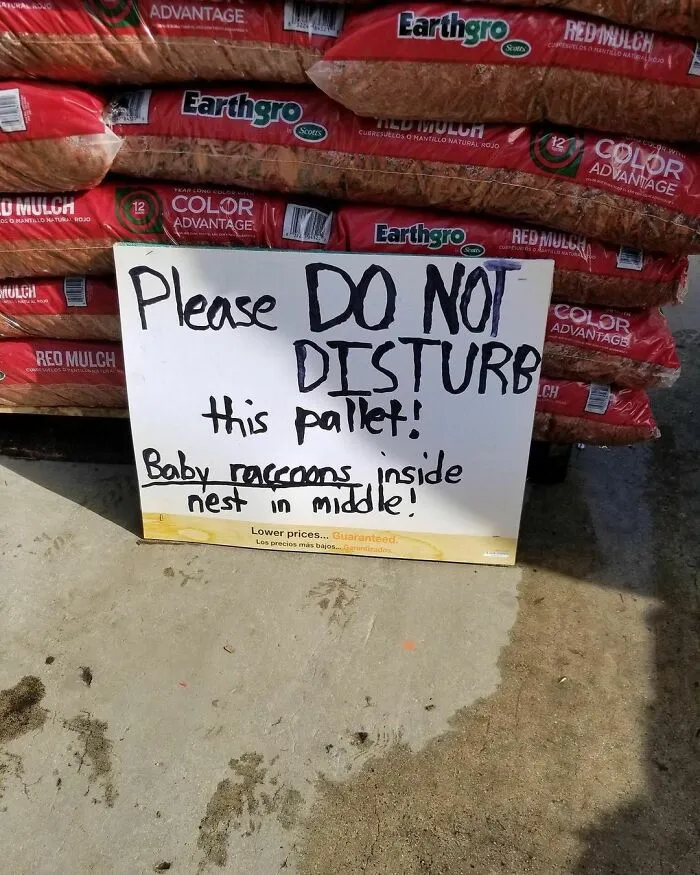 50 Random Pictures You Didn’t Know You Might Find Funny, As Shared On This IG Account