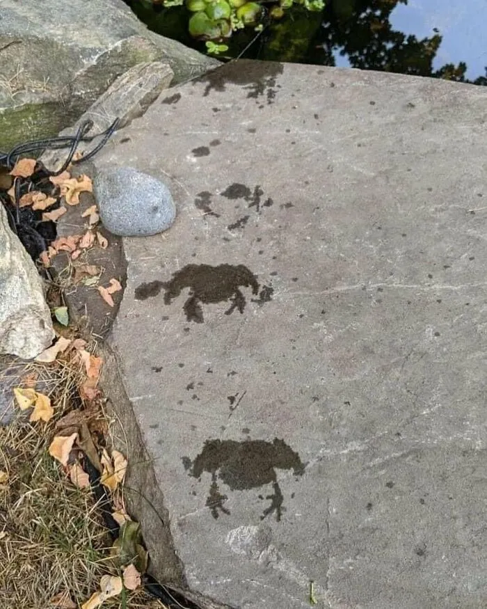 50 Random Pictures You Didn’t Know You Might Find Funny, As Shared On This IG Account