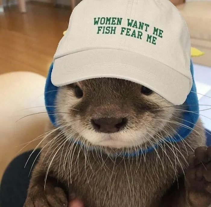 50 Random Pictures You Didn’t Know You Might Find Funny, As Shared On This IG Account