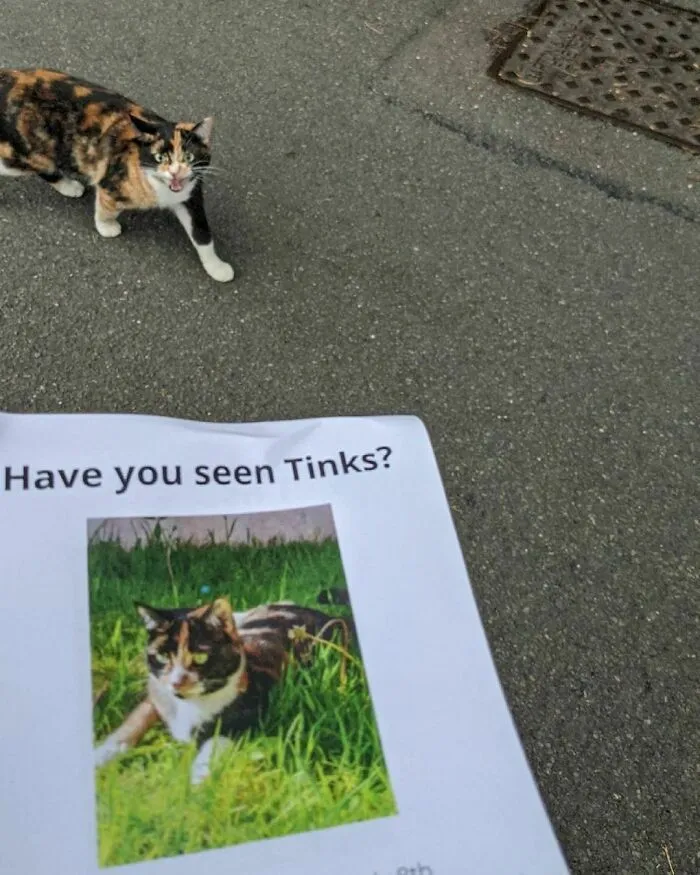 50 Random Pictures You Didn’t Know You Might Find Funny, As Shared On This IG Account