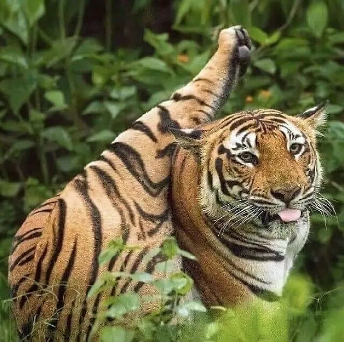 50 Random Pictures You Didn’t Know You Might Find Funny, As Shared On This IG Account