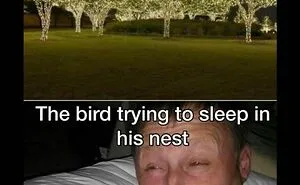 46 Funny And Relatable Memes That Might Make You Sigh In Agreement