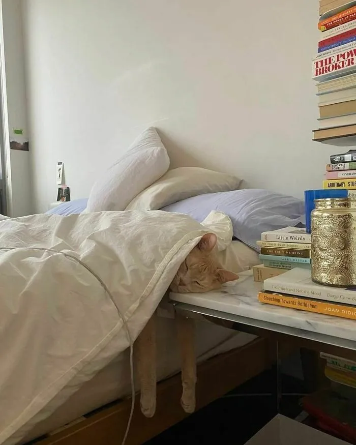 50 Random Pictures You Didn’t Know You Might Find Funny, As Shared On This IG Account
