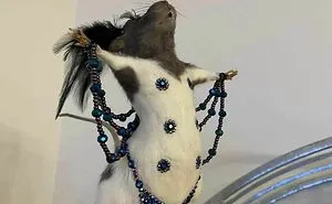 45 Times People Came Across Such Fantastic Second-Hand Finds, They Just Had To Share (New Pics)