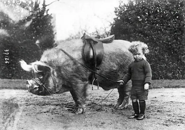 Niño con su jabalí, 1930