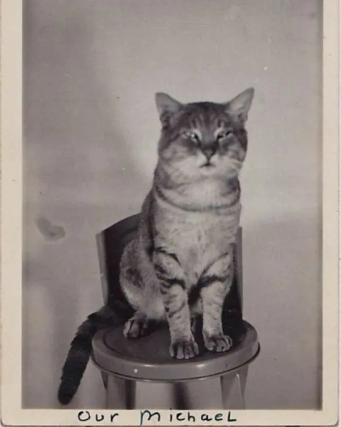 1938