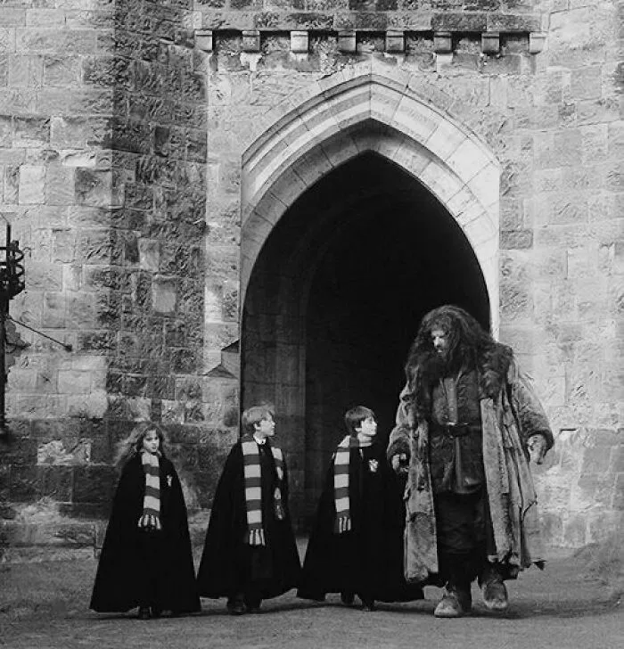 "There's No Hogwarts Without You, Hagrid."  Rest In Peace Robbie Coltrane, Thank You For Being Part Of Something So Special