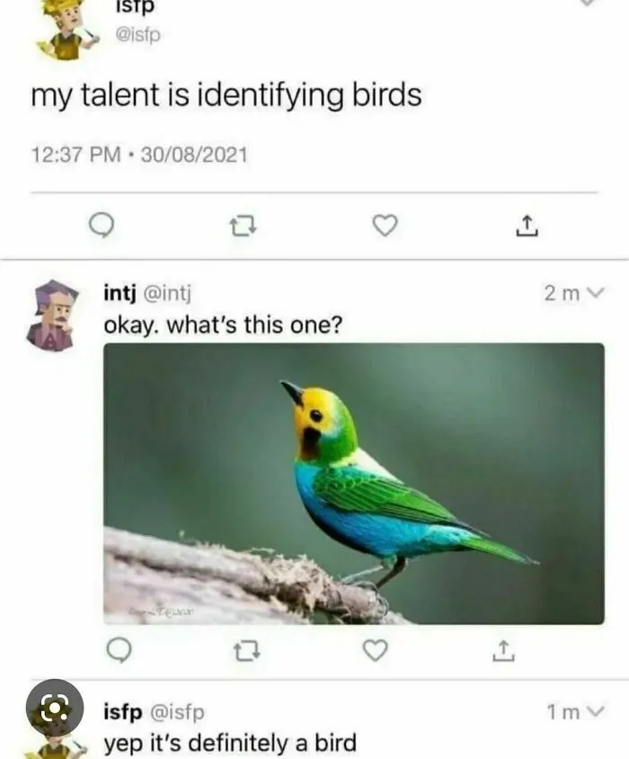 50 Chucklesome Memes That Make The Perfect Blend Of Animals And Comedy