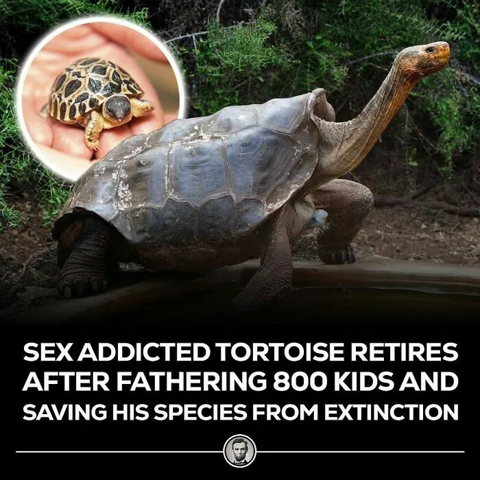 50 Of The Most Fascinating Facts Shared On The “Blowing Fact” Instagram Page (New Pics)