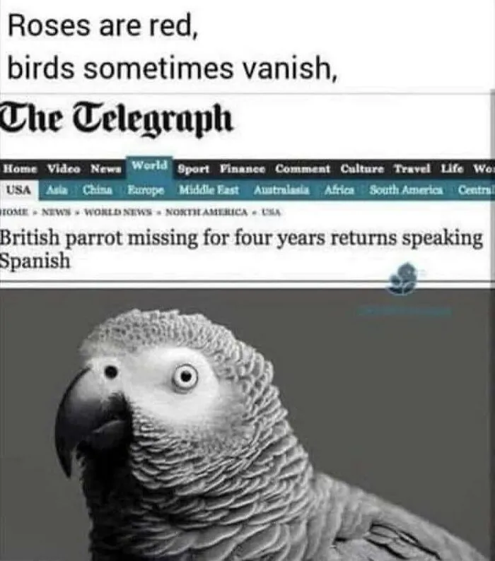 50 Chucklesome Memes That Make The Perfect Blend Of Animals And Comedy