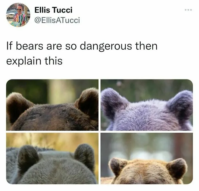50 Of The Best Memes, As Shared On "Beige Cardigan" Account