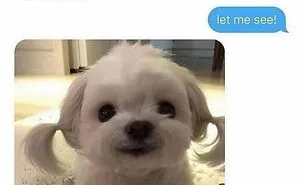50 Of The Best Memes, As Shared On "Beige Cardigan" Account
