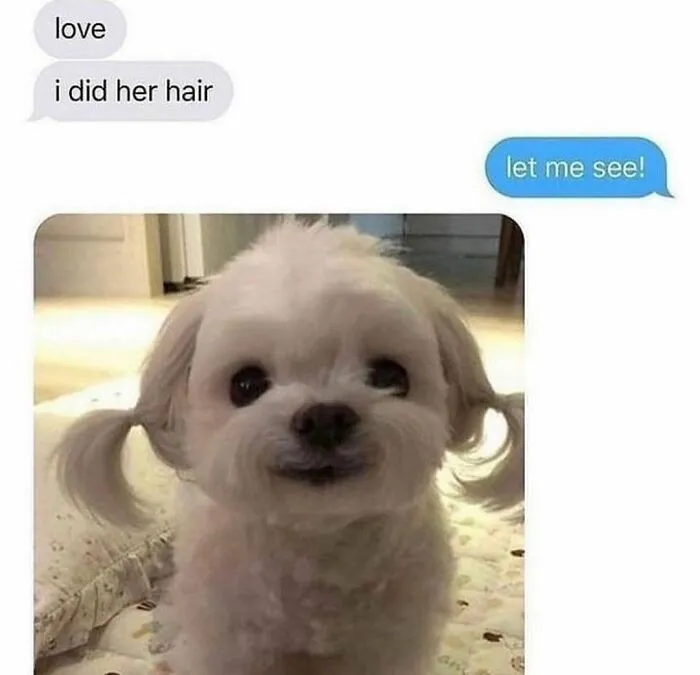 50 Of The Best Memes, As Shared On "Beige Cardigan" Account
