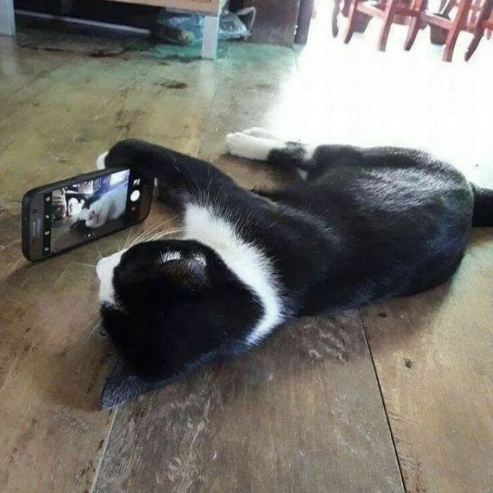 50 Unexplainable Cursed Images Shared On This Instagram Account