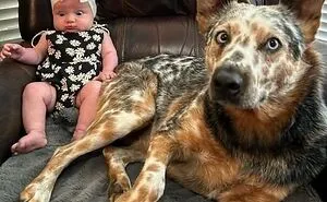 50 Wholesomely Hilarious Family Pictures That Are Just So Awkward (New Pics)