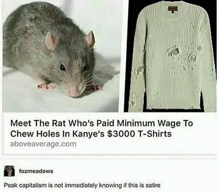50 Chucklesome Memes That Make The Perfect Blend Of Animals And Comedy